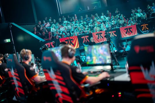 败之地的秘 败之地的秘