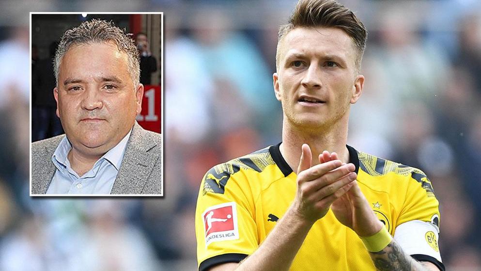 当地的热带 当地的热带